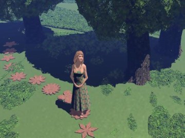 steppingstones.jpg 24.1K